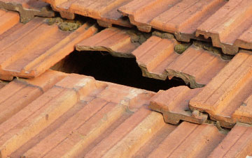 roof repair Sangomore, Highland
