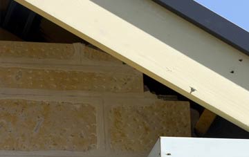 soffit repair Sangomore