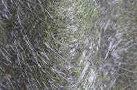 Sangomore fibreglass roof work