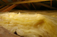 Sangomore pitch roof insulation