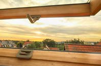 rated Sangomore roof window companies
